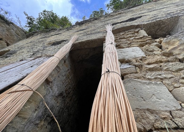 Journées découverte des troglos