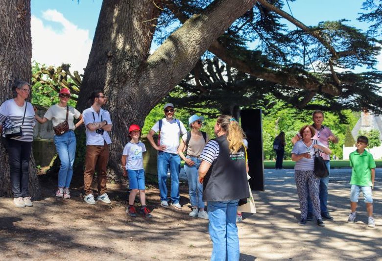Visite guidée du Château de Chenonceau