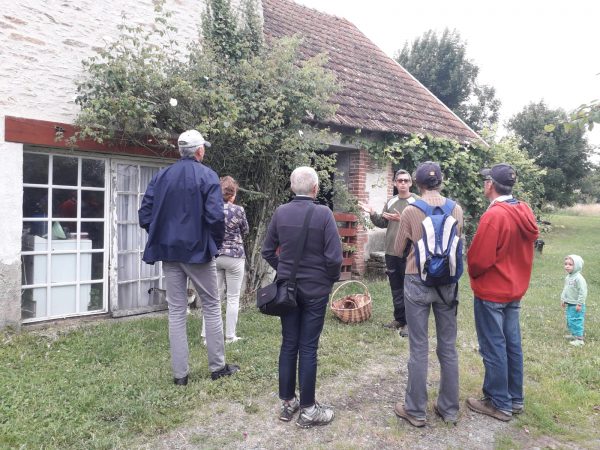 Visite guidée de l&rsquo;arboretum