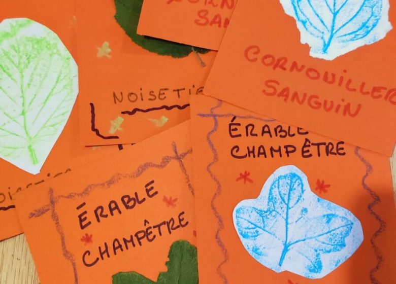 Memory d&rsquo;arbre