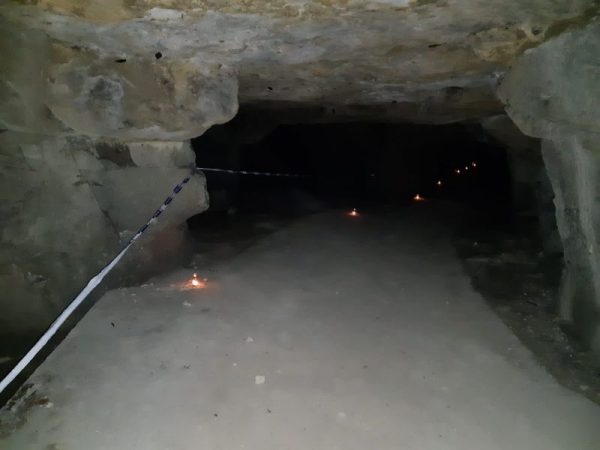 Nuit de la chauve-souris