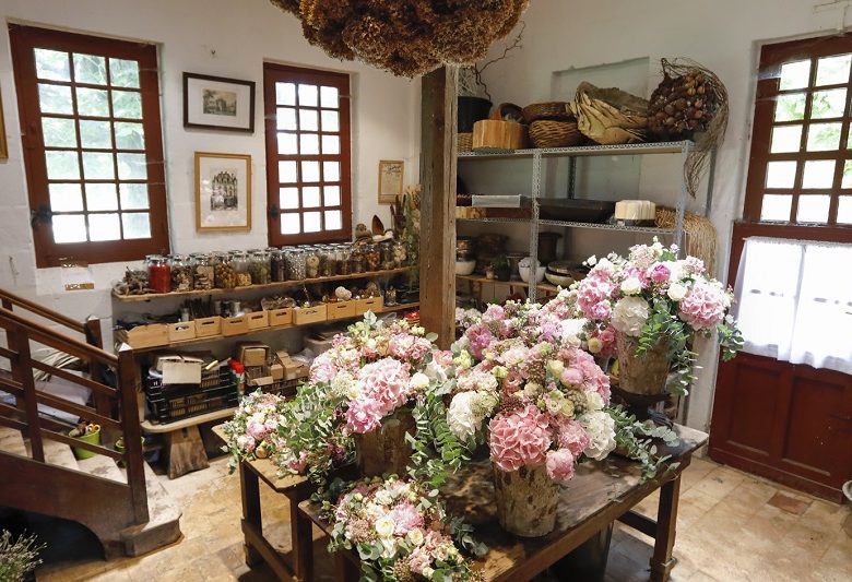 Nocturne au Château