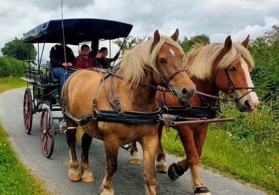 Balade en calèche