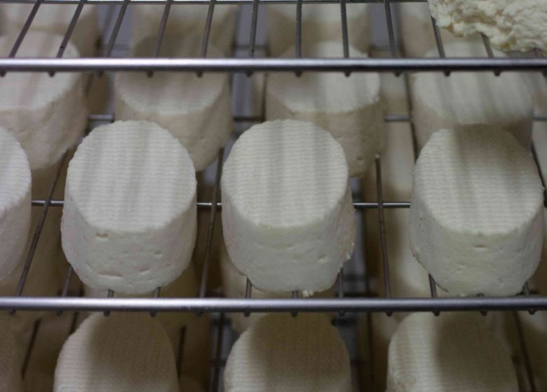 Après-midi et degustation à la Ferme Brebis du Lochois