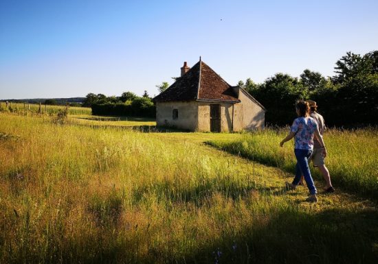 Circuit pédestre n°10 « De la Couarde aux vignes »