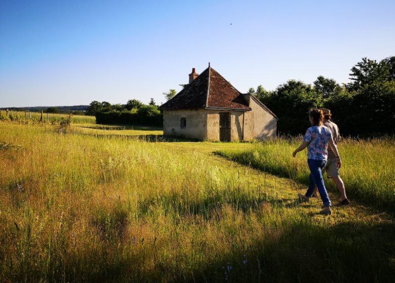 Circuit pédestre n°10 « De la Couarde aux vignes »