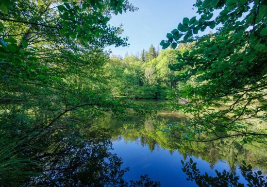 Moulin de Retord, côté étang