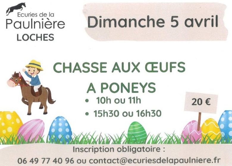 Chasse aux oeufs à poneys