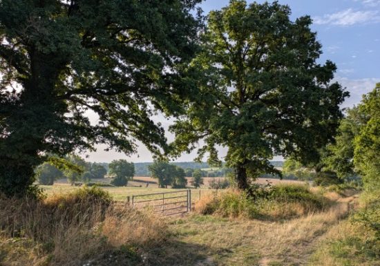 Randonnées à thèmes accompagnées au Pays de George Sand : « Sur les pas des Maitres Sonneurs » –  Jour 3