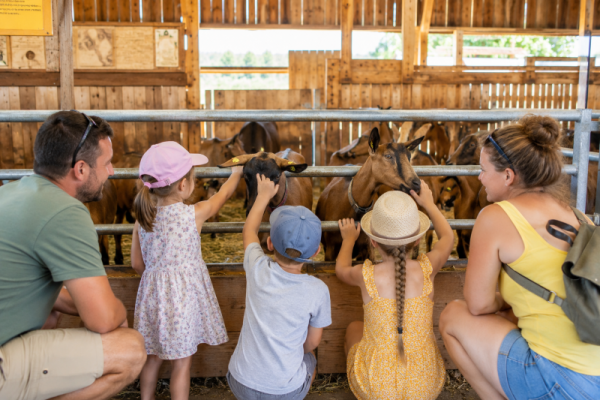 Découverte de la ferme caprine du Petit Bois d&rsquo;Ô