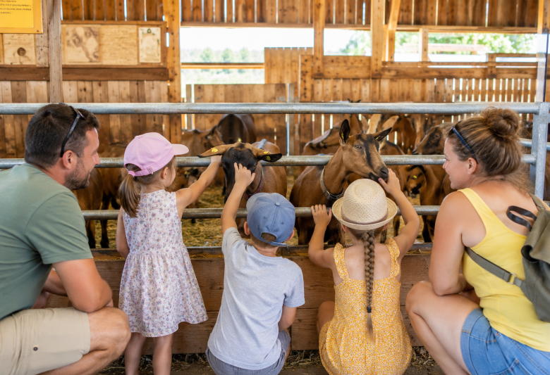 Découverte de la ferme caprine du Petit Bois d&rsquo;Ô