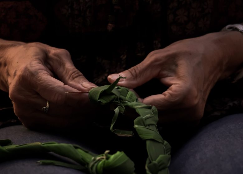 Découverte plantes sauvages pour la vannerie