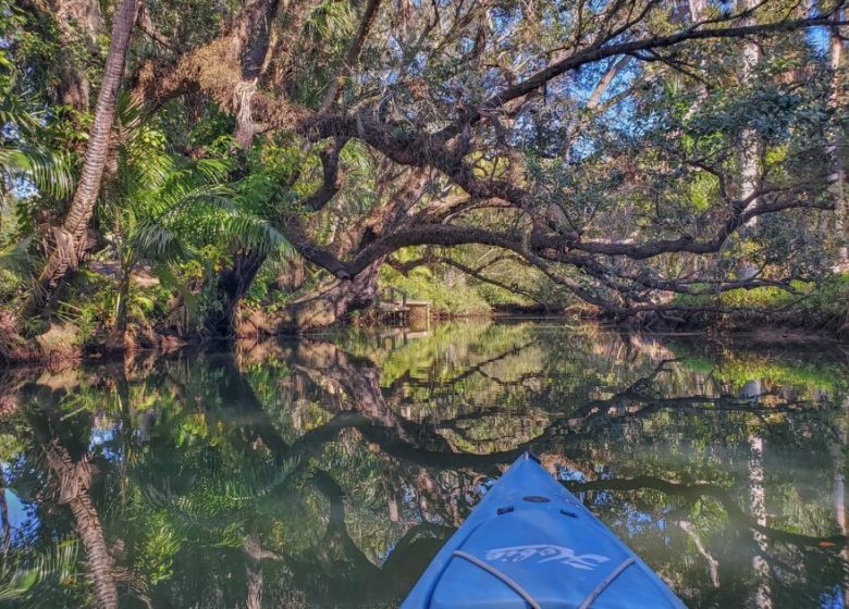 Balade nature en kayak