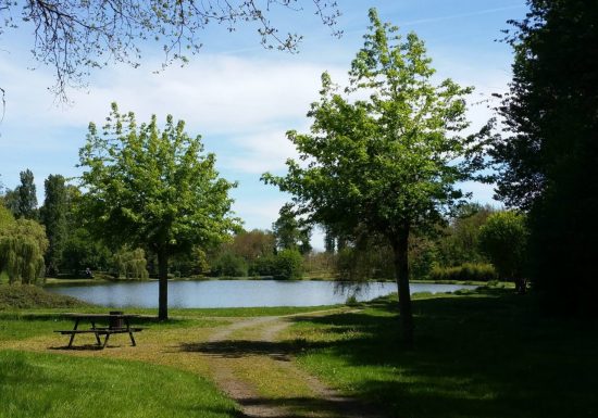 Etang André Grymonprez – pêche