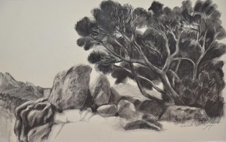 Exposition : à fleur de peau