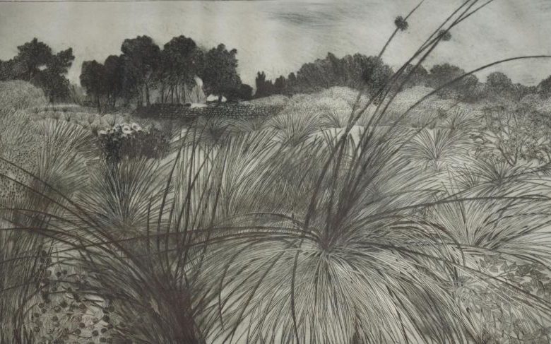 Exposition : à fleur de peau
