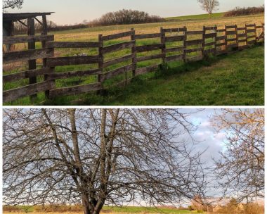 Le refuge du colibris
