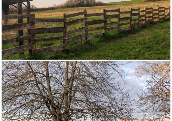 Le refuge du colibris