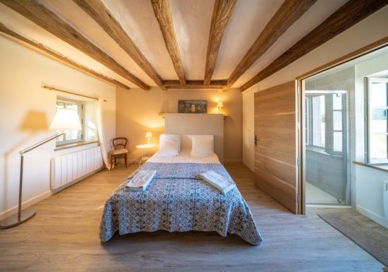 Le Puits Renaissance – Le Cygne