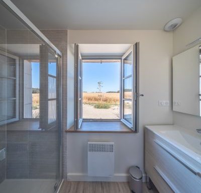 Le Puits Renaissance – Le Cygne