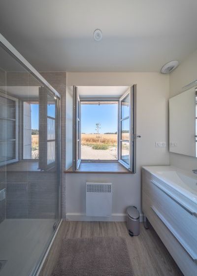 Le Puits Renaissance – Le Cygne