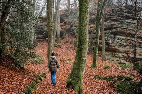 Randonnée CAP Chambon – Toulx ste Croix – 8 km