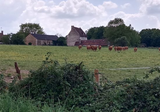 Circuit local à Neuvy St Sépulchre