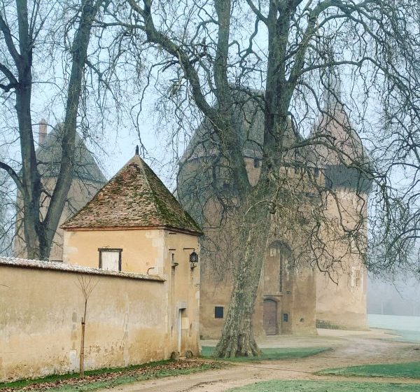 Le Château de La Motte-Feuilly