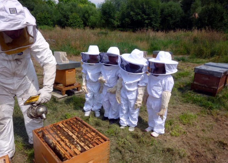 Atelier famille « Apiculture »