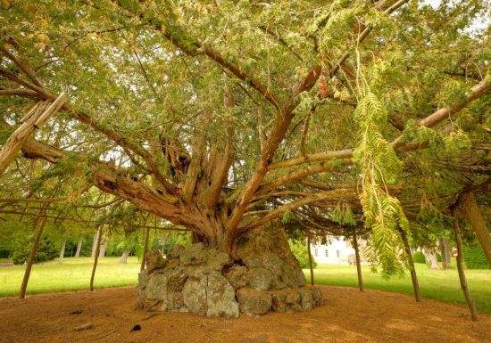 Le Château de La Motte-Feuilly