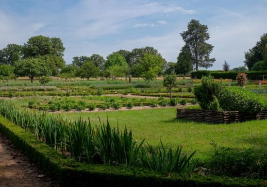 Le Château de La Motte-Feuilly