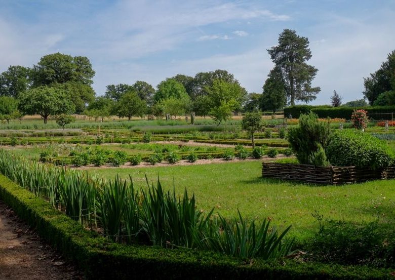 Le Château de La Motte-Feuilly
