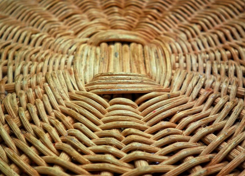 Stage : corbeille sur croisé