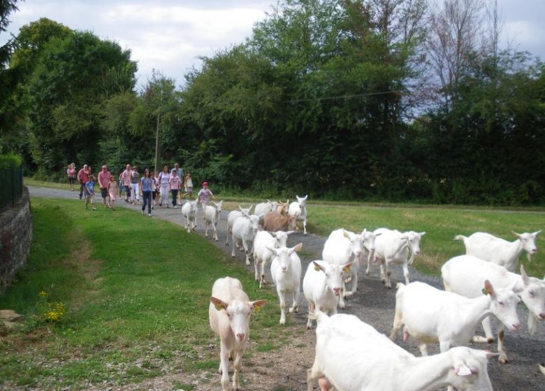 Circuit vélo « les mercredis à la ferme » le 22 juillet 2026
