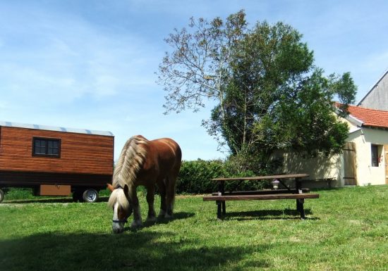 Mini séjour découverte nuit en roulotte et balade en calèche