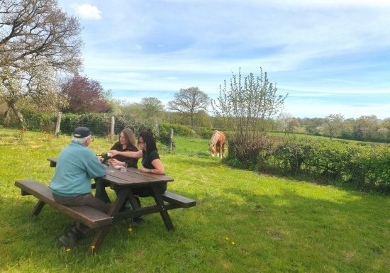 Séjour itinérant en roulotte avec 2 chevaux