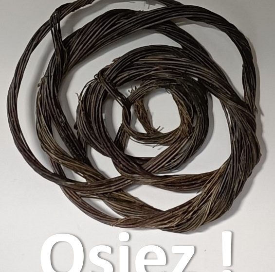 O S I E Z ! Centre d’Art autour de l’osier, Visite guidée et Atelier osier créatif