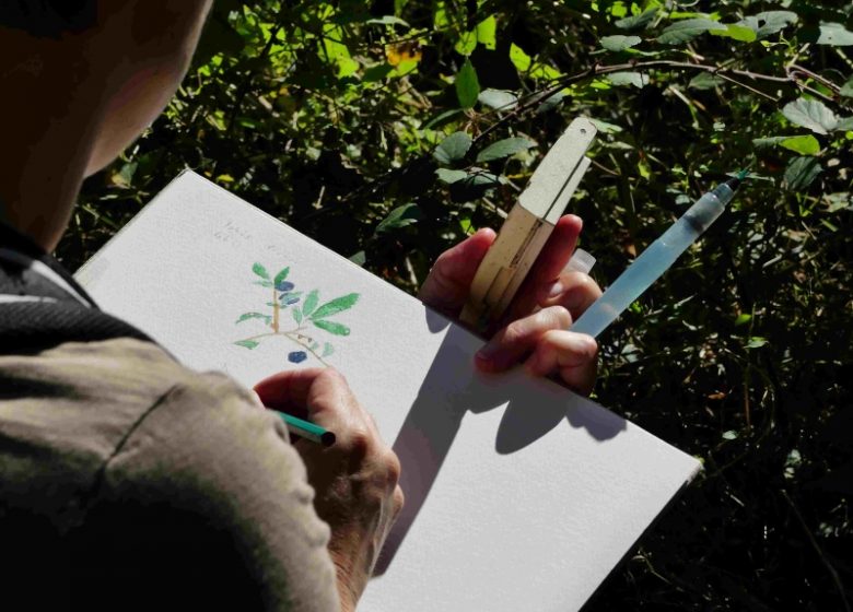 Initiation aquarelle au printemps