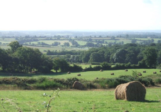 Circuit pédestre n°11 « par monts et par vaux »