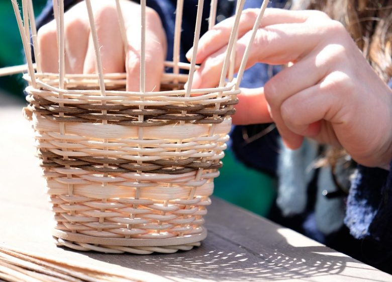 Entre brins et traditions