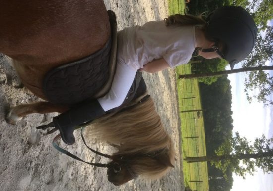 Écuries de la Paulnière