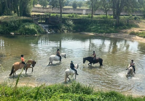 Écuries de la Paulnière