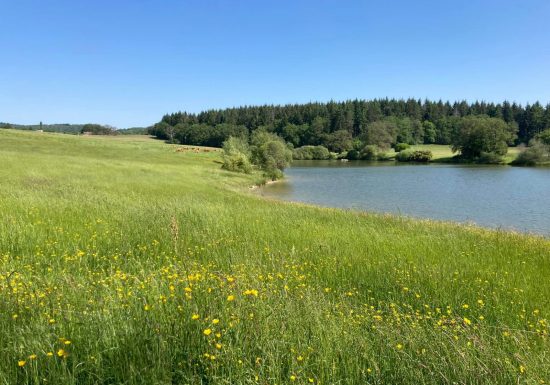 GÎTE LE MONTAGUILLAUME