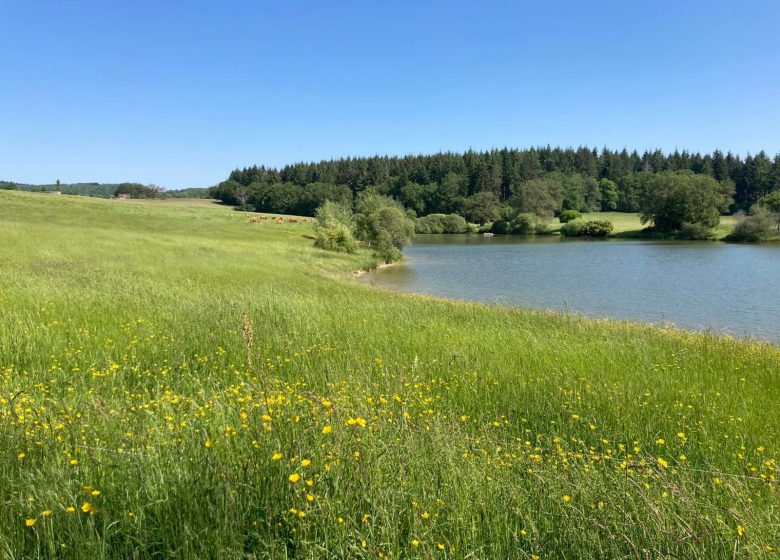 GÎTE LE MONTAGUILLAUME