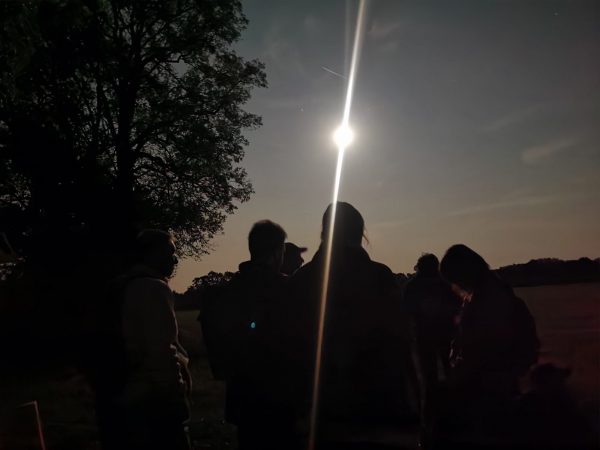 Balade au crépuscule