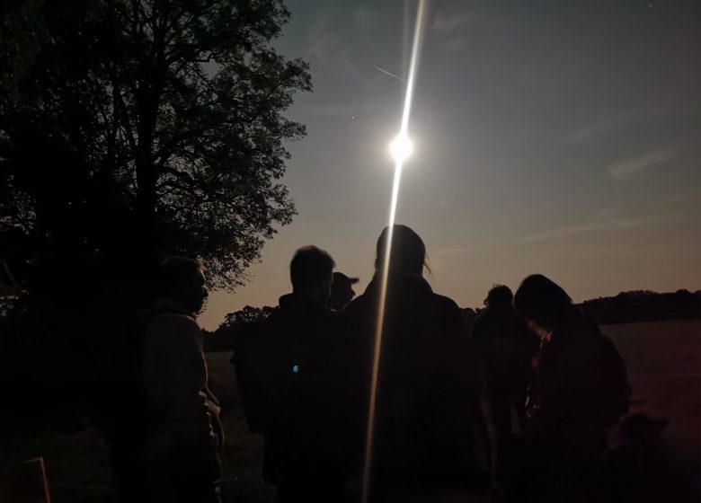 Balade au crépuscule