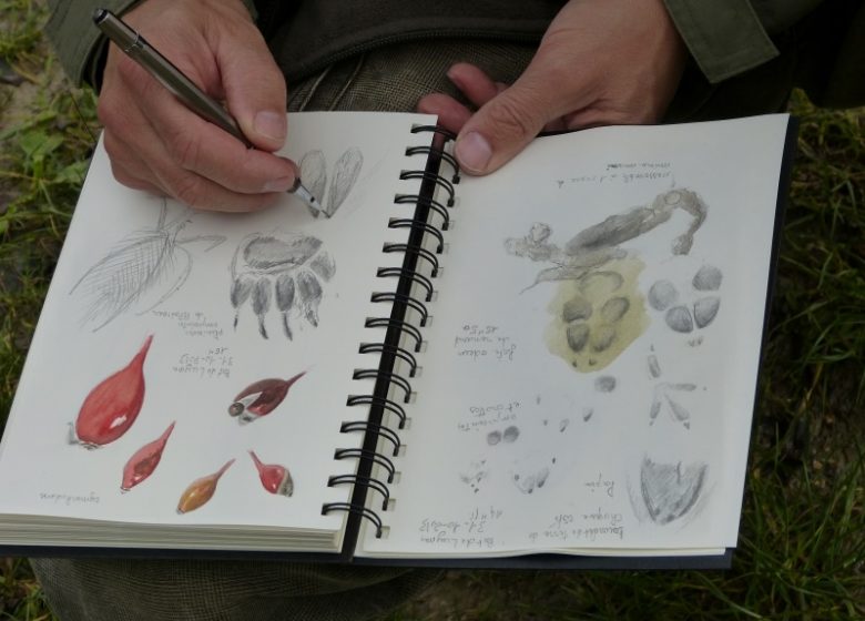 La biodiversité des Prairies du Roy, l’art de la Nature !
