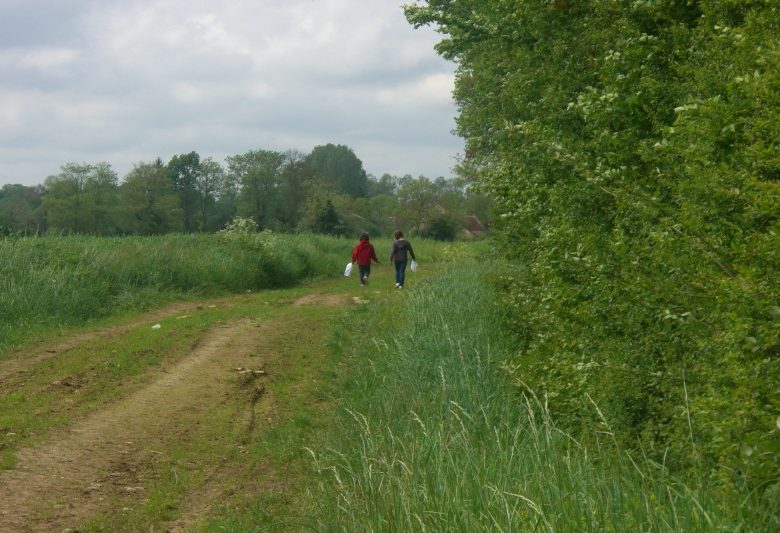 Randonnée