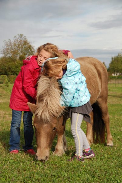Vacances de la Toussaint – Stages enfants Touraine Cheval