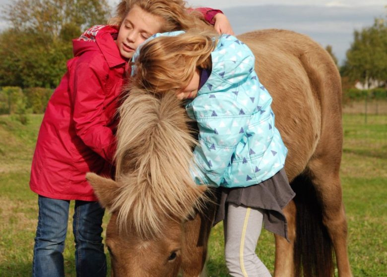 Vacances de la Toussaint – Stages enfants Touraine Cheval
